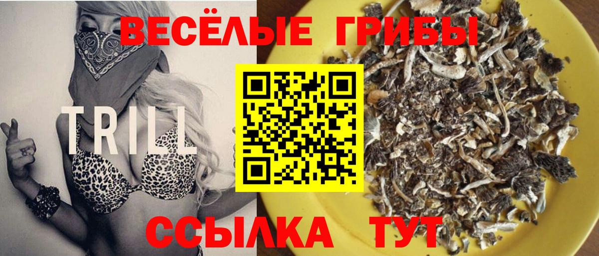 Псилоцибиновые грибы мухоморы Жигулёвск