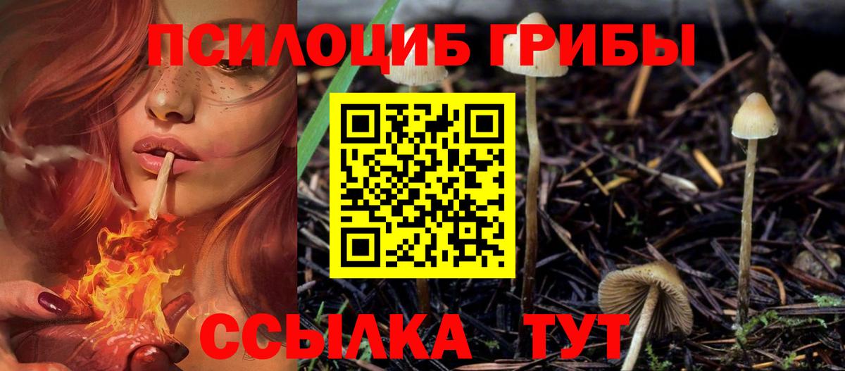 Жигулёвск  Галлюциногенные грибы ЛСД  Псилоцибиновые грибы Cubensis  Вход с VPN 